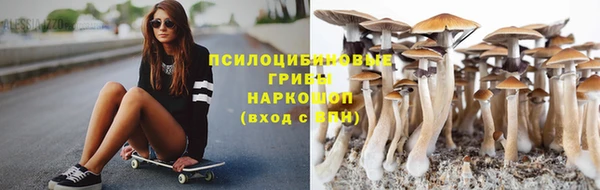 амф Аркадак