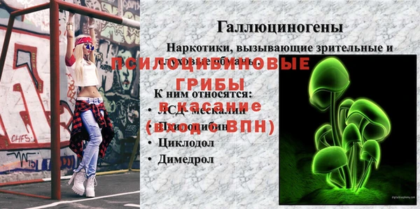 амф Аркадак
