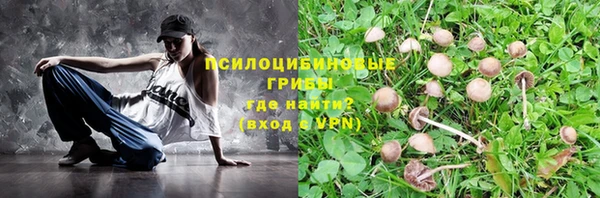 амф Аркадак