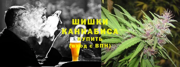 амф Аркадак