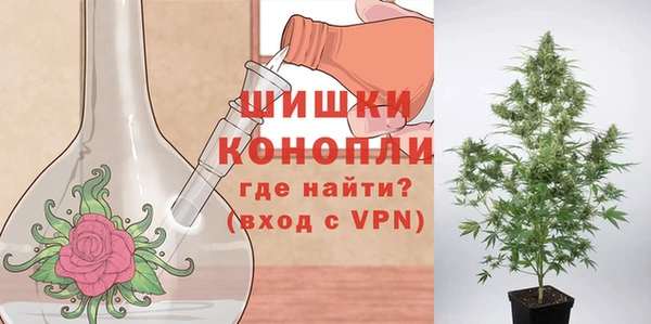 амф Аркадак
